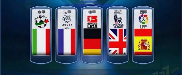 场上视野和 场上视野和